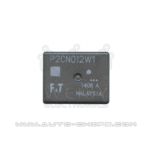 P2CN012W1 relay use for automotives BCM