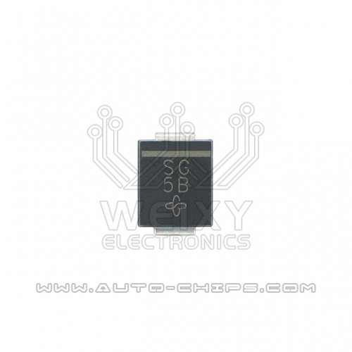 SG 2PIN chip use for automotives