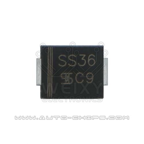 SS36 2PIN chip use for automotives